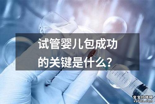 试管婴儿包成功的关键是什么？