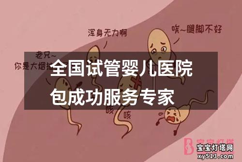 全国试管婴儿医院包成功服务专家