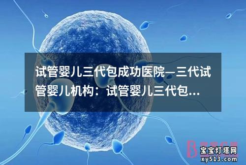 试管婴儿三代包成功医院—三代试管婴儿机构：试管婴儿三代包成功医院：新生命的温暖归宿