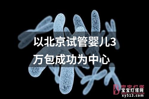 以北京试管婴儿3万包成功为中心