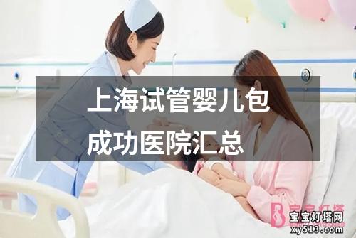 上海试管婴儿包成功医院汇总