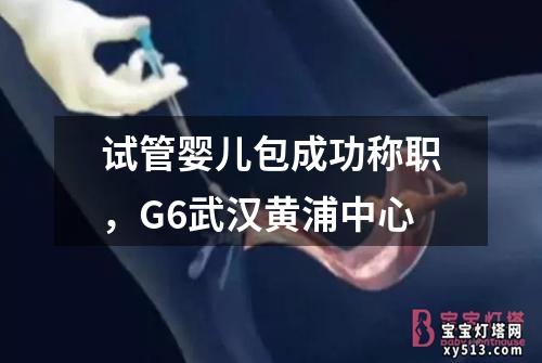 试管婴儿包成功称职，G6武汉黄浦中心