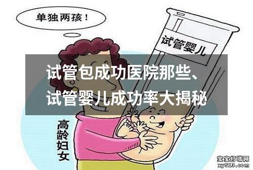 试管包成功医院那些、试管婴儿成功率大揭秘