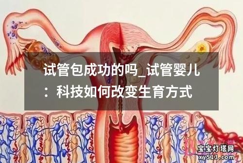 试管包成功的吗_试管婴儿：科技如何改变生育方式