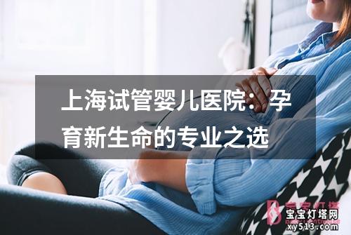 上海试管婴儿医院：孕育新生命的专业之选