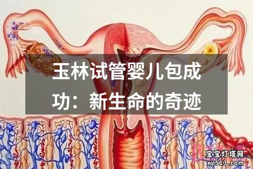 玉林试管婴儿包成功：新生命的奇迹