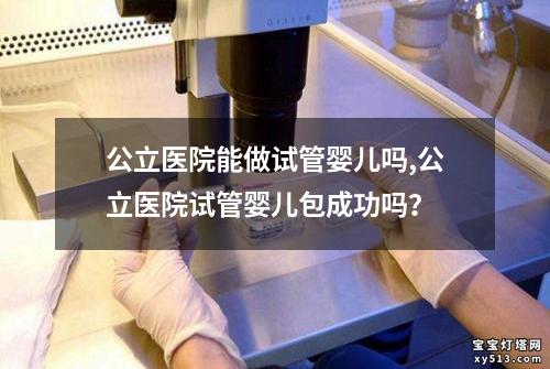 公立医院能做试管婴儿吗,公立医院试管婴儿包成功吗？