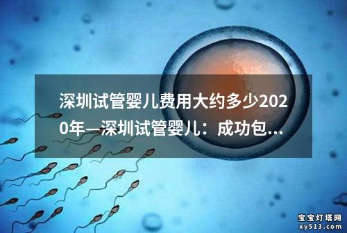 深圳试管婴儿费用大约多少2020年—深圳试管婴儿：成功包治疗方案