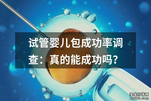 试管婴儿包成功率调查：真的能成功吗？