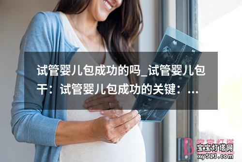 试管婴儿包成功的吗_试管婴儿包干：试管婴儿包成功的关键：全面解析成功的关键因素