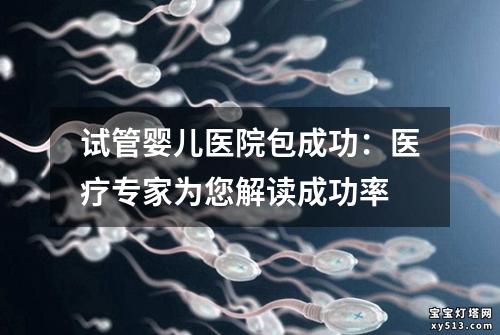 试管婴儿医院包成功：医疗专家为您解读成功率