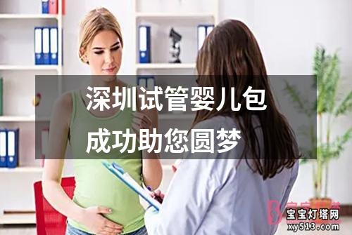 深圳试管婴儿包成功助您圆梦