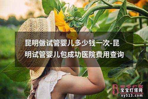 昆明做试管婴儿多少钱一次-昆明试管婴儿包成功医院费用查询