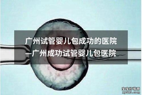 广州试管婴儿包成功的医院—广州成功试管婴儿包医院