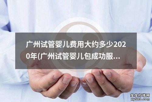 广州试管婴儿费用大约多少2020年(广州试管婴儿包成功服务攻略)