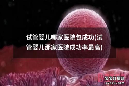 试管婴儿哪家医院包成功(试管婴儿那家医院成功率最高)