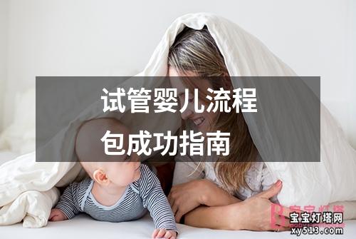 试管婴儿流程包成功指南