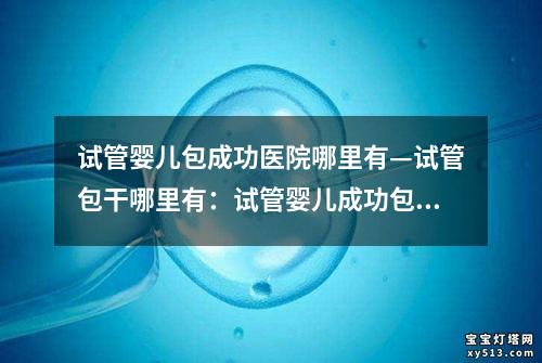 试管婴儿包成功医院哪里有—试管包干哪里有：试管婴儿成功包治医院，中心在哪里找？