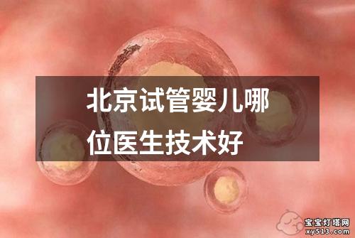 北京试管婴儿哪位医生技术好