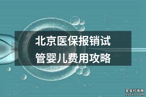 北京医保报销试管婴儿费用攻略