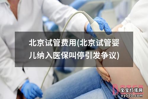 北京试管费用(北京试管婴儿纳入医保叫停引发争议)