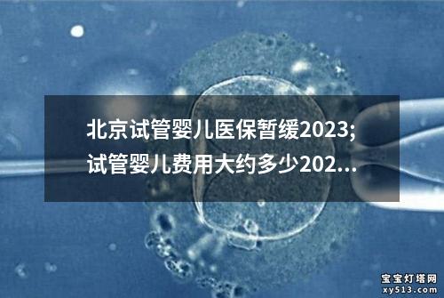 北京试管婴儿医保暂缓2023;试管婴儿费用大约多少2020年北京