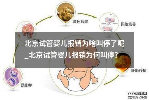 北京试管婴儿报销为啥叫停了呢_北京试管婴儿报销为何叫停？