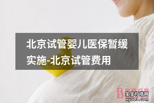 北京试管婴儿医保暂缓实施-北京试管费用