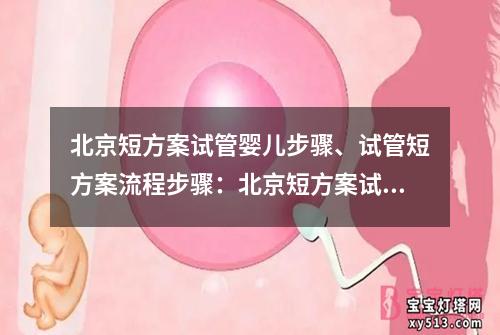 北京短方案试管婴儿步骤、试管短方案流程步骤：北京短方案试管婴儿：全程步骤详解