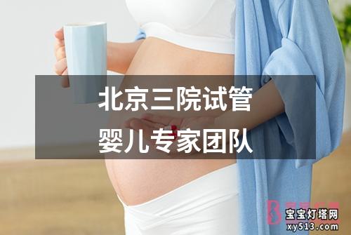 北京三院试管婴儿专家团队