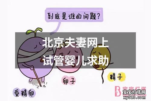 北京夫妻网上试管婴儿求助