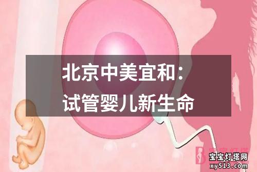 北京中美宜和：试管婴儿新生命