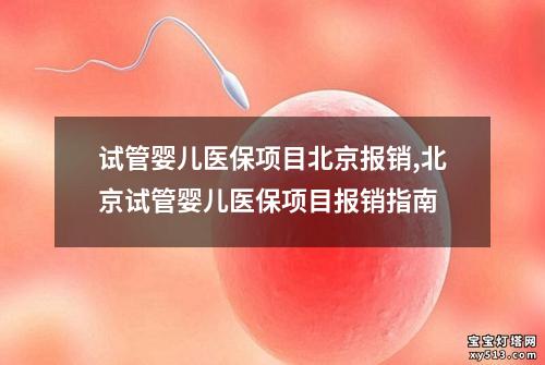 试管婴儿医保项目北京报销,北京试管婴儿医保项目报销指南