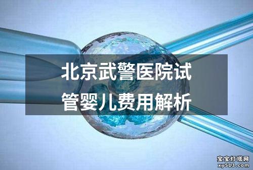 北京武警医院试管婴儿费用解析