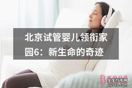 北京试管婴儿领衔家园6：新生命的奇迹