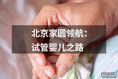 北京家圆领航：试管婴儿之路