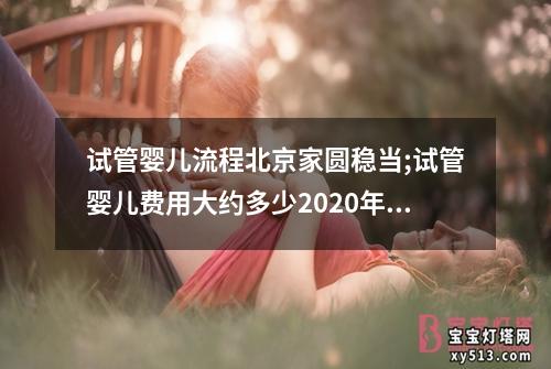 试管婴儿流程北京家圆稳当;试管婴儿费用大约多少2020年北京：北京家圆稳当：试管婴儿流程全指南