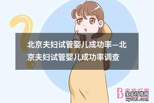 北京夫妇试管婴儿成功率—北京夫妇试管婴儿成功率调查