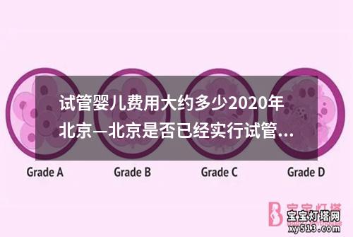 试管婴儿费用大约多少2020年北京—北京是否已经实行试管婴儿报销？