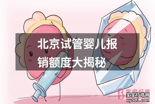 北京试管婴儿报销额度大揭秘