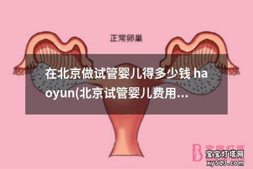 在北京做试管婴儿得多少钱 haoyun(北京试管婴儿费用究竟高不高)