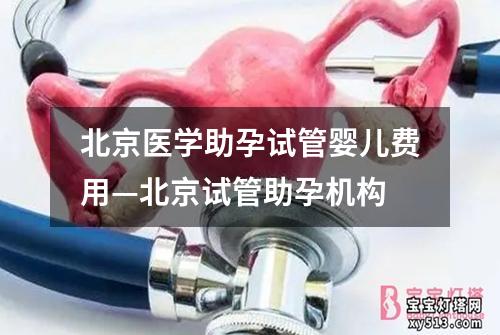 北京医学助孕试管婴儿费用—北京试管助孕机构