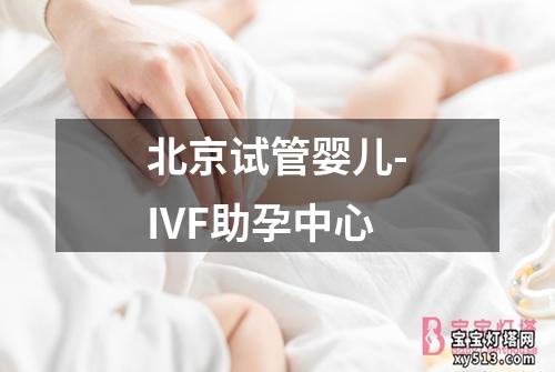 北京试管婴儿-IVF助孕中心