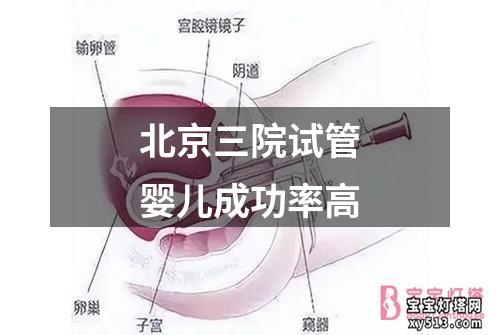 北京三院试管婴儿成功率高