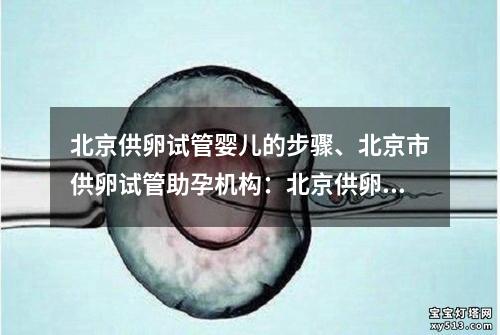 北京供卵试管婴儿的步骤、北京市供卵试管助孕机构：北京供卵试管婴儿：全程步骤详解