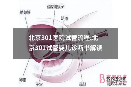 北京301医院试管流程;北京301试管婴儿诊断书解读