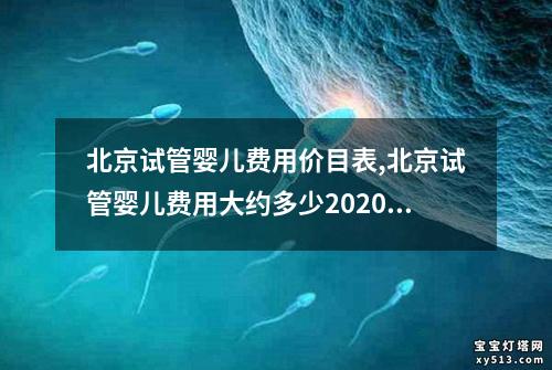 北京试管婴儿费用价目表,北京试管婴儿费用大约多少2020年：北京试管婴儿费用详解及价格明细