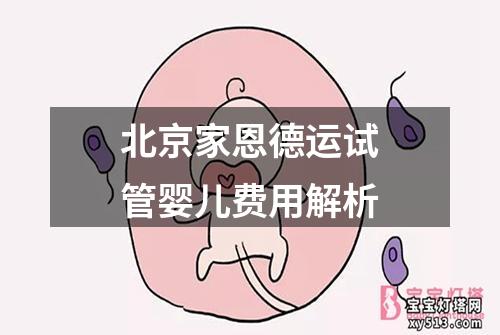 北京家恩德运试管婴儿费用解析