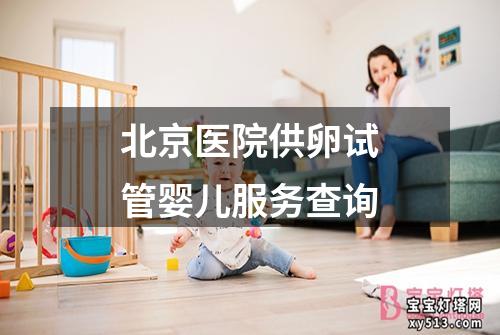 北京医院供卵试管婴儿服务查询