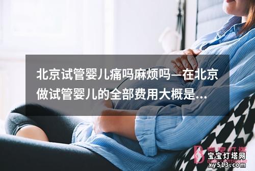 北京试管婴儿痛吗麻烦吗—在北京做试管婴儿的全部费用大概是多少：北京试管婴儿手术疼痛程度及情况调查